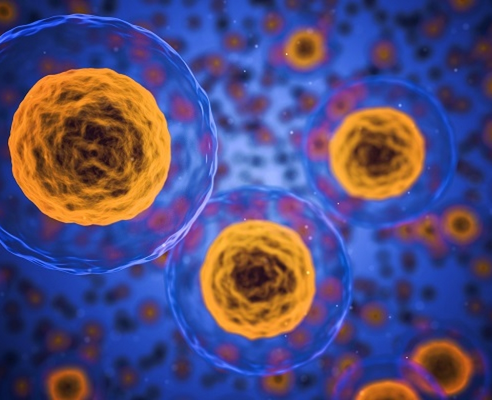 Foto Bioreattori